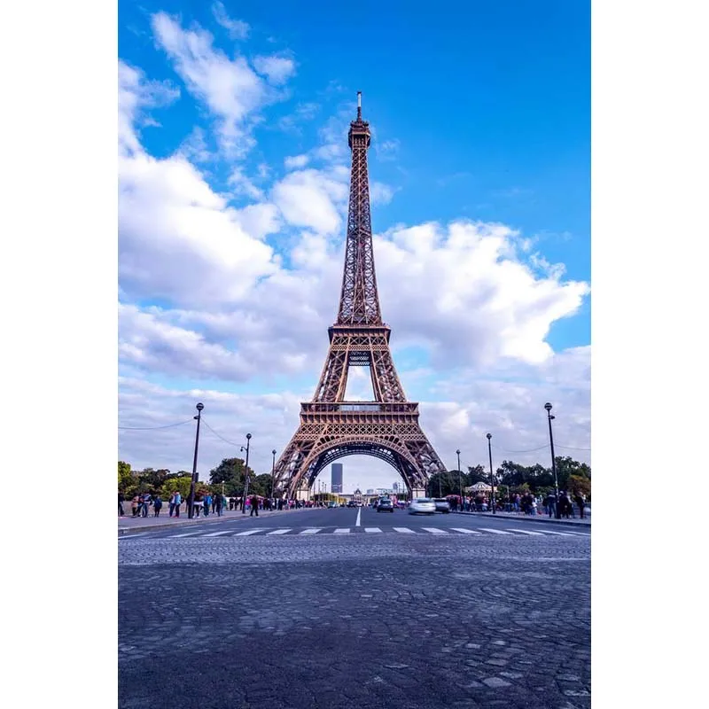 Background for Photography Eiffel Tower Scenic Photo Booth Backdrop Shoot Studio Street Props MR-2131