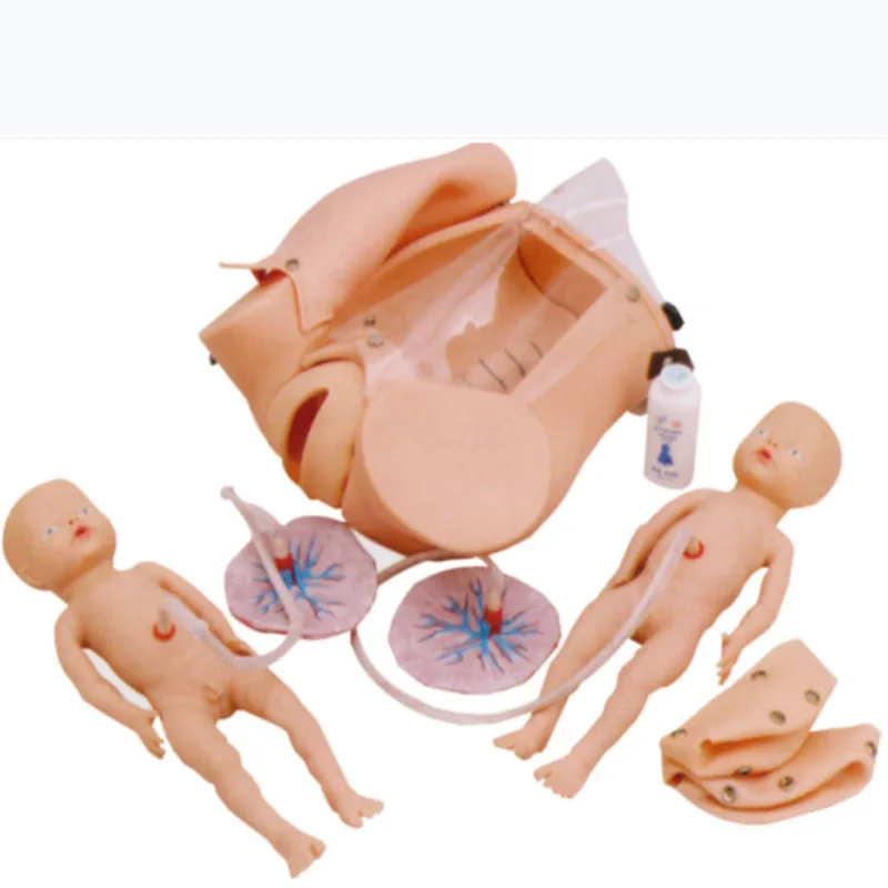 

Medical Science Professional Medical Students Education Equipment Advanced Delivery Childbirth Mechanism Teaching Model BIX-F52