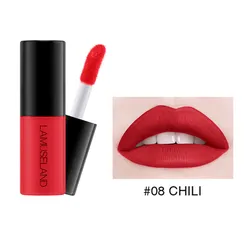 12 Color Professional Lip Gloss Sample Lip Glaze Matte Long Lasting Non-stick Cup Liquid Lipstick Long Lasting Cosmetics TSLM1