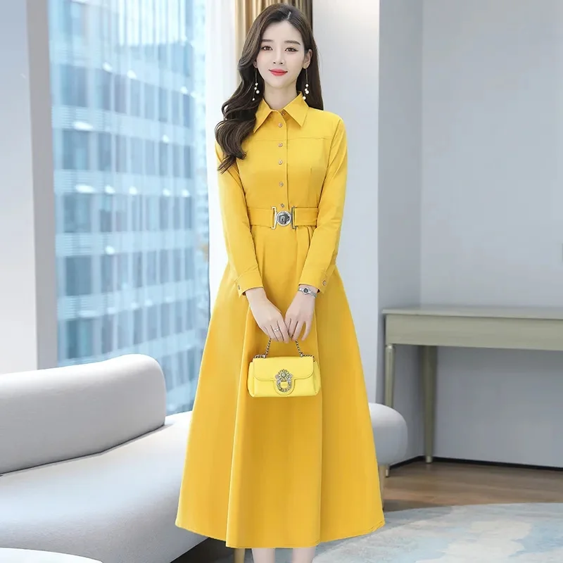 Women Dress New Female Spring Autumn Long Sleeve Dresses Middle-aged Female Fashion Dress Mujer Vestidos C