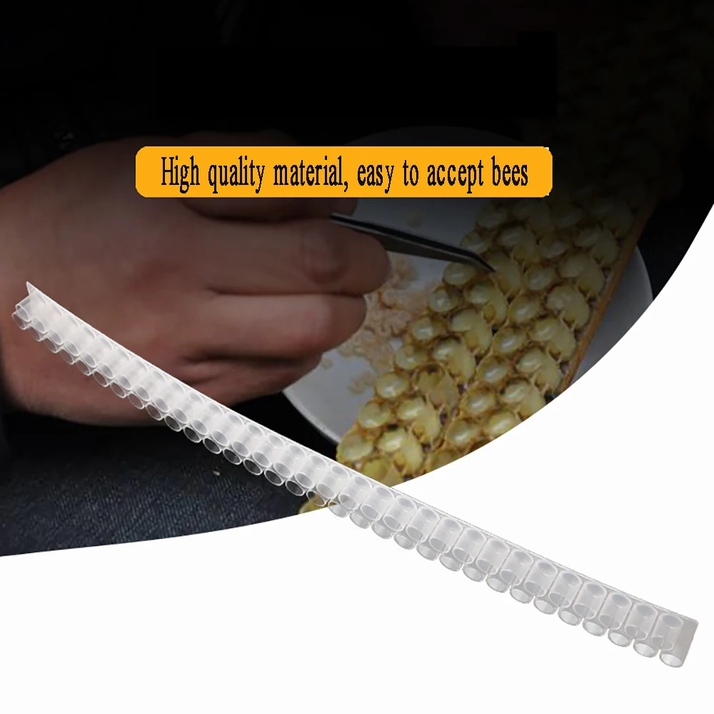 2PCS Double Rows Paddle Flexibility Professional Beekeeper Take Hold Royal Jelly Strips Beekeeping Tools Plastic Equipment