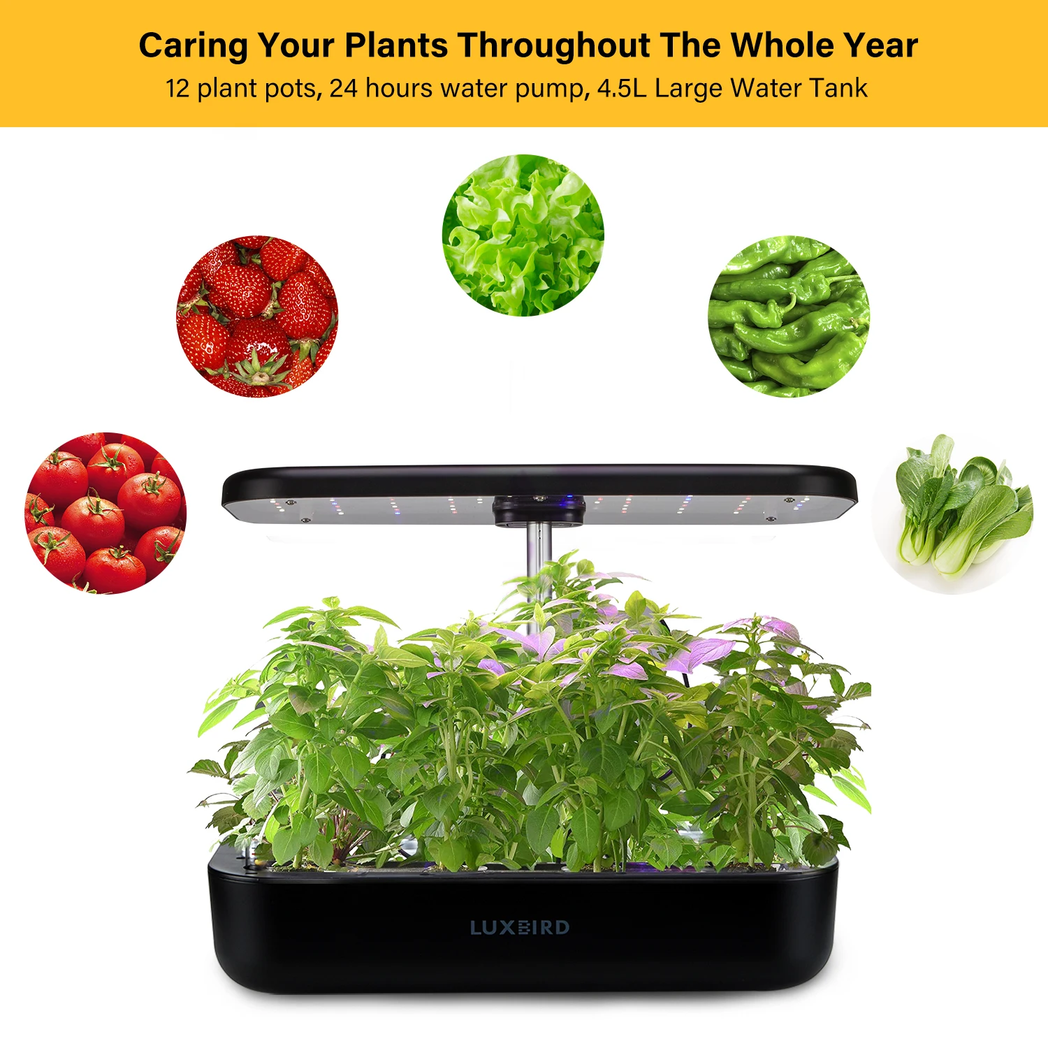 INKBIRD Hydroponics Growing System Height Adjustable with Smart LED Grow Light Large Capacity Germination Kit for Home Gardening