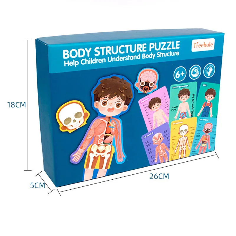 Body Structure Cognition Puzzle Toy Montessori Materials Educational Wooden Toys For Children Magnets Biology Teaching Aids Toy