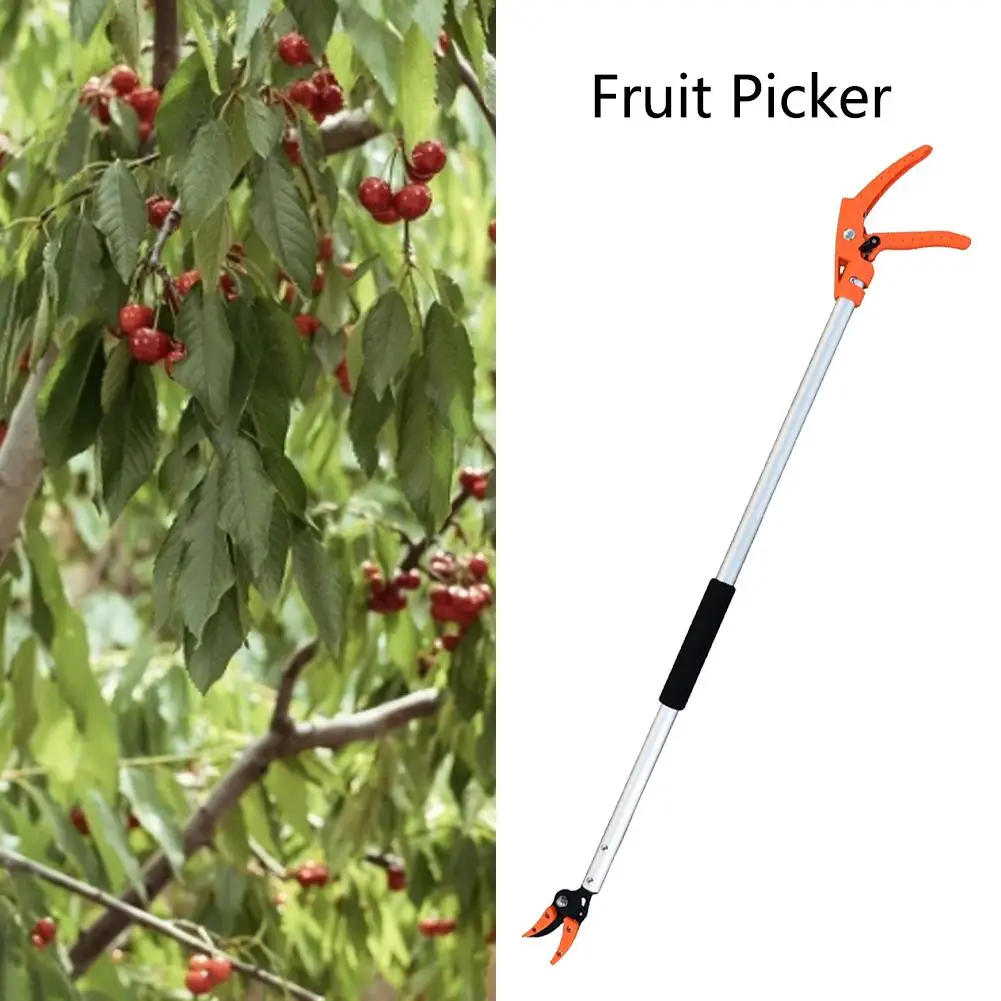 0.6-1M Extra Long Telescopic Pruning and Hold Bypass Pruner Max Cutting 1/2 inch Fruit Picker Tree Cutter Garden Supplies