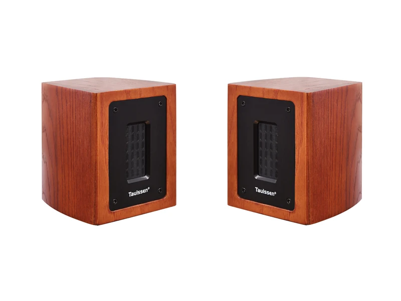 قطعة واحدة (مكبر صوت واحد) TAULSEN T3 تسخين خارجي من الجيل السادس ومكبر صوت UHF خارجي بحزام مغناطيسي مع طاقة