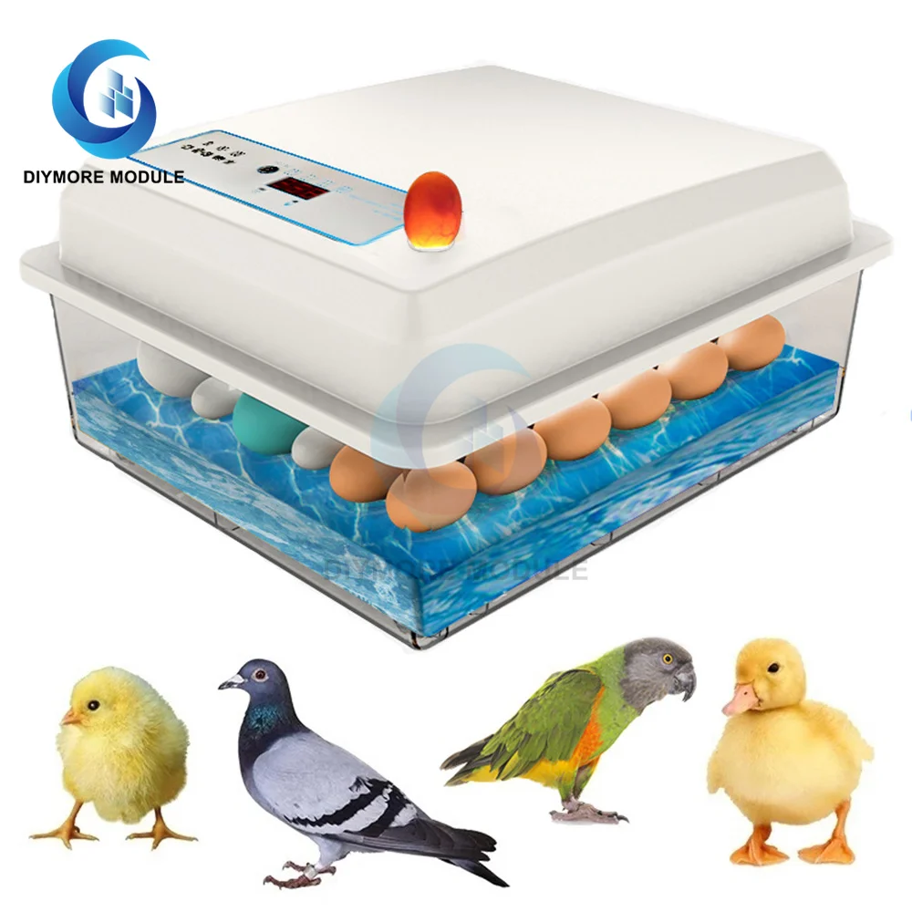 20-50 eggs household incubator small plastic bionic water bed incubator automatic temperature control egg incubator 220v US-plug