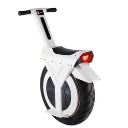 60V 500W Big Single Fat 17inch Tire Electric Unicycle One Wheel Self Balancing Scooter for Sale One Wheel for Adults