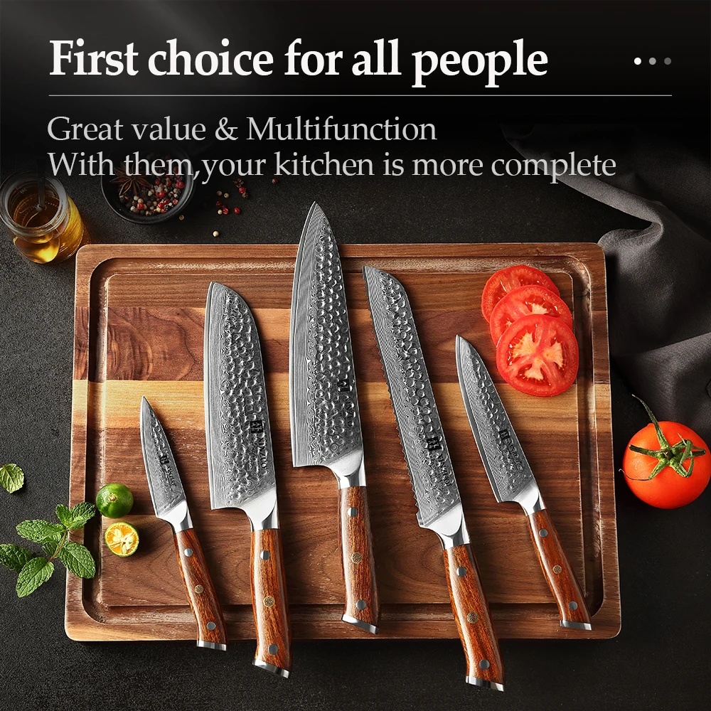 XINZUO Damascus Steel 5PCS Kitchen Knives Set with North America Desert Ironwood Handle Stainless Steel Chef Bread Paring Knife