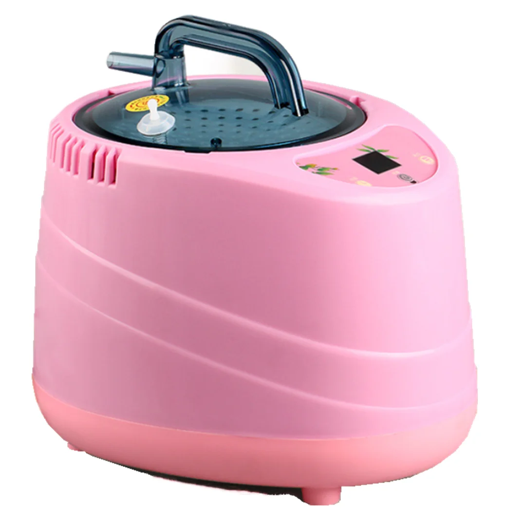 Steam Generator New Arrival 2.2L Fumigation Machine Home Steamer Pot Kits Spa Tent EU Or US Plug