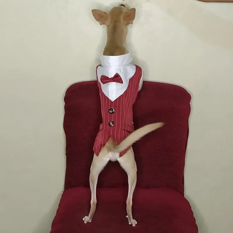 Gentleman Dog Clothes Wedding Suit Formal Shirt For Small Dogs Bowtie Tuxedo Pet Outfit Costume For Cats Spring And Summer Suits