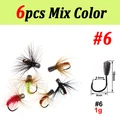 6 piezas de tamaño mixto 6