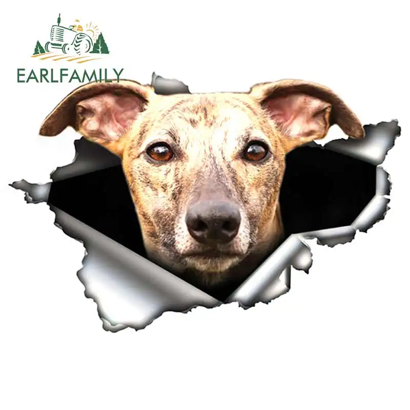 EARLFAMILY 13cm x 8.7cm Brindle Greyhound Car Sticker Torn Metal Decal Reflective Stickers Waterproof Car Styling Pet Dog Decals