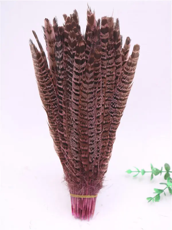 10Pcs/Lot Female Pheasant Tail Feathers 25-30CM/10-12\