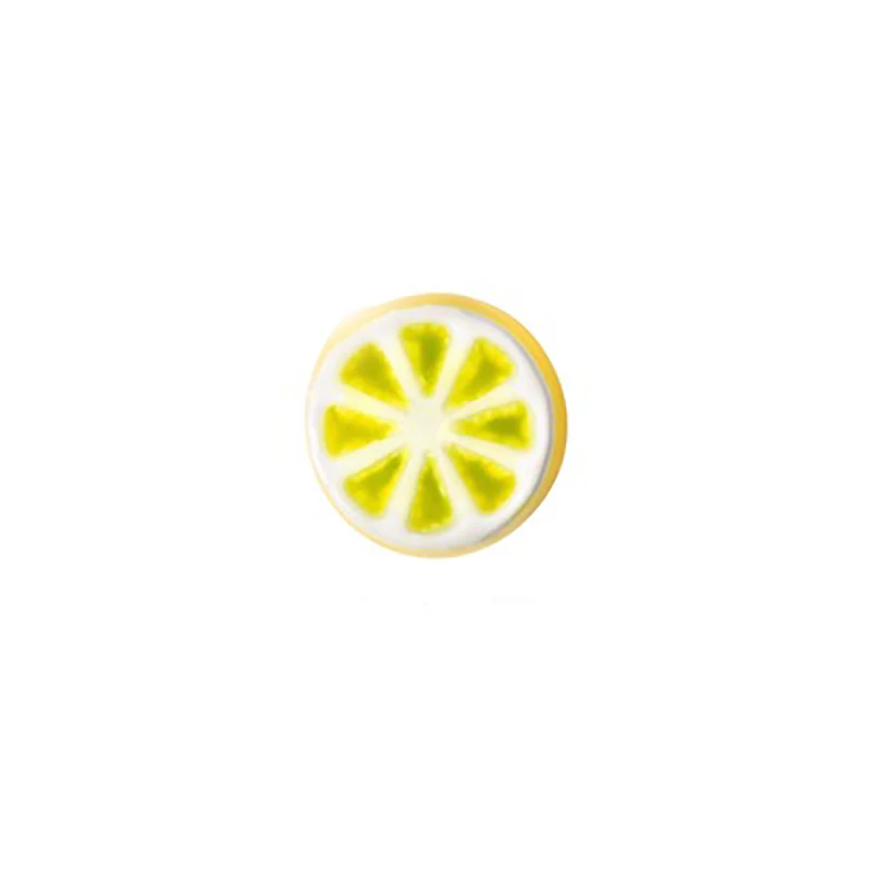 

10pcs Round Lemon Slice style 2 floating charms for Living glass locket