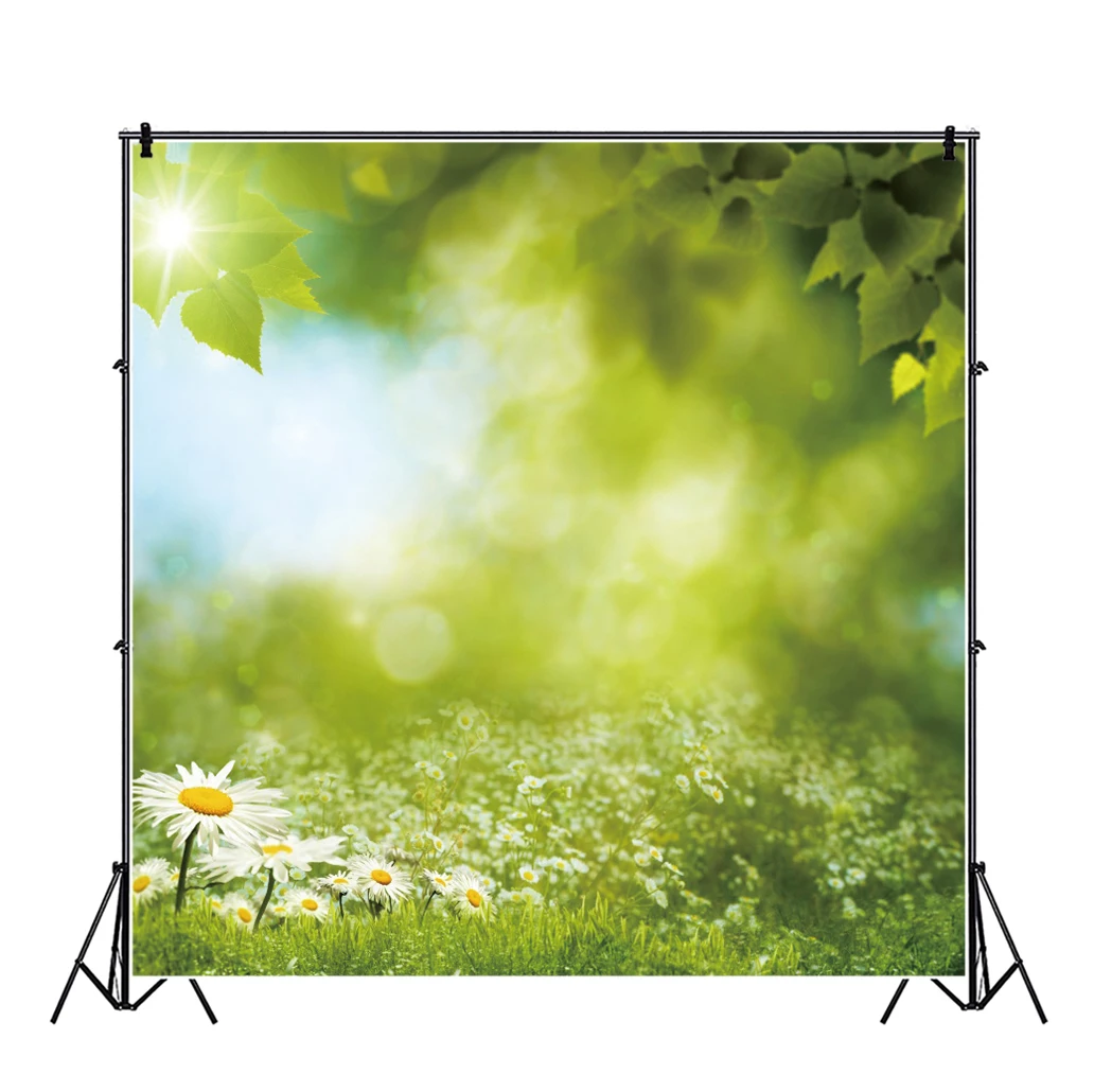 Laeacco Mùa Hè Xanh Nhiệt Đới Lòng Bàn Tay Cây Lá Sàn Gỗ Cho Bé Con Photozone Đảng Chân Dung Ảnh Nền Ảnh Phông Nền