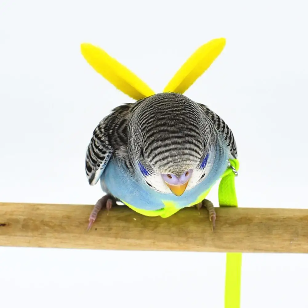 Pet Parrot Bird Harness And Leash Flying Rope Straps Outdoor Training Traction Rope For Budgerigar Lovebird Cockatiel Birds