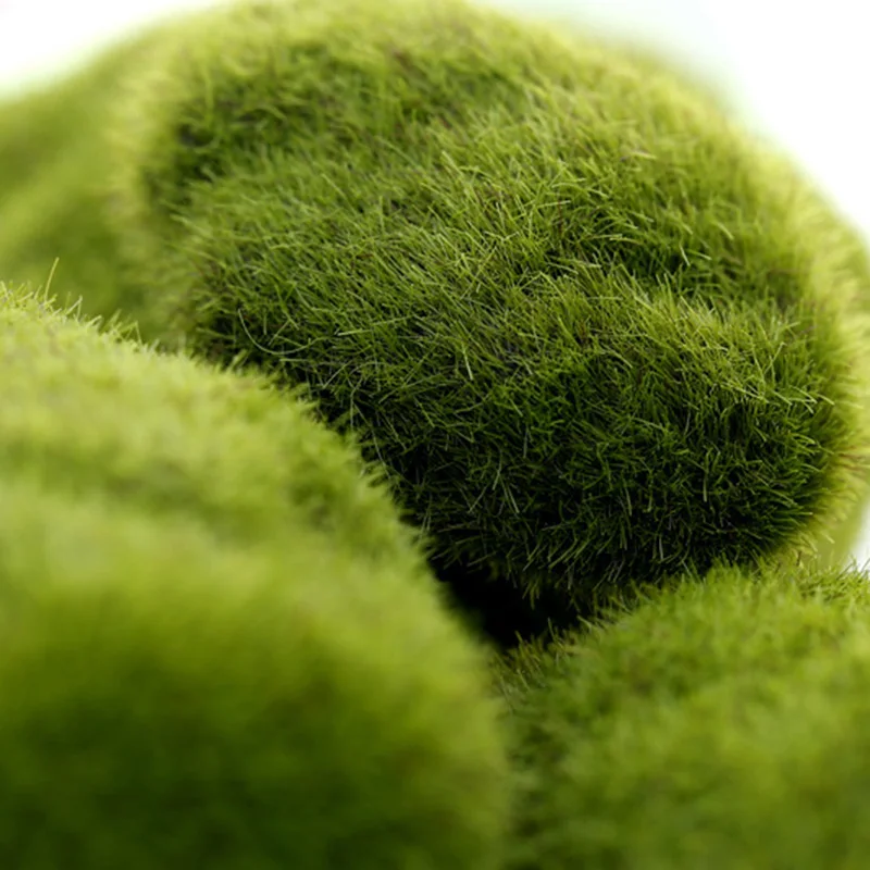 Fondo de fotografía en miniatura, adorno de simulación de musgo, piedra verde falsa, liquen de roca para accesorios de estudio fotográfico
