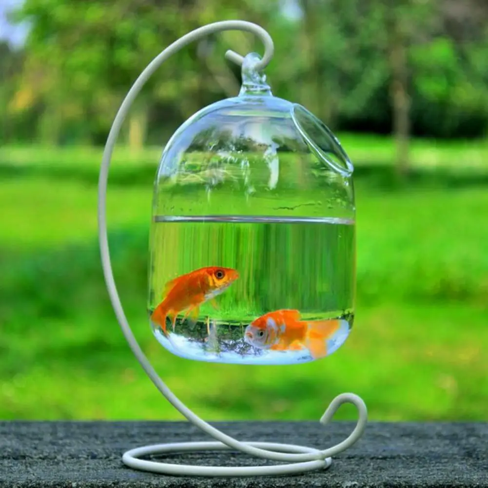 Creative Hanging Vase Fishbowl Transparent Hanging Glass Decor Fish Tank Plant Flower Pot Transparent Vase Hanging Plants Pot