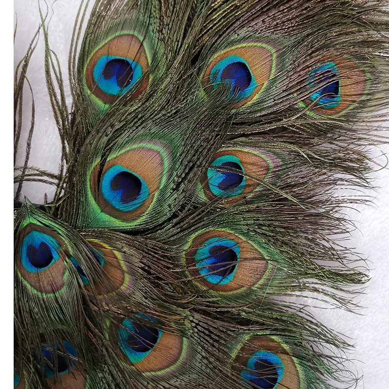 adult creative cosplay wing Peacock feather wings Nightclub Catwalk Model Dance Party photo studio deco props