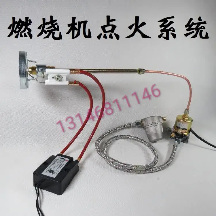 Ignition System of Biological Particle Burner Igniter Fuel Injection Nozzle Electromagnetic Pump High Pressure Package