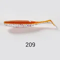 NW209