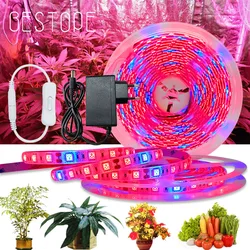 20M LED Grow Light Spectrum DC12V USB Grow Light Strip LED Phyto Lamp For Plants Greenhouse Hydroponic Growing power supply Full