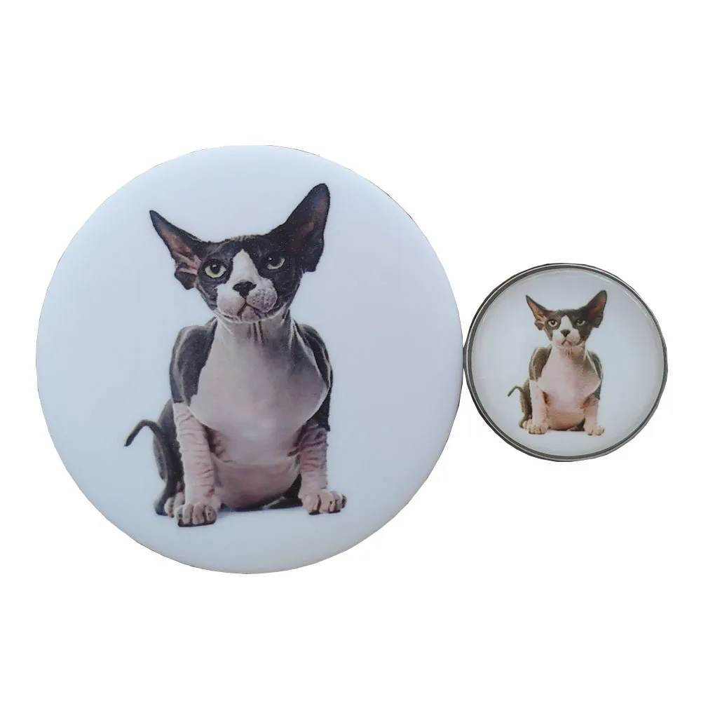 Cute Time Gem Animal Sphynx Siamese Exotic Shorthair Bengal Lynx Persian Maine Coon Cat Badge Brooch Breastpin Jewelry Gift