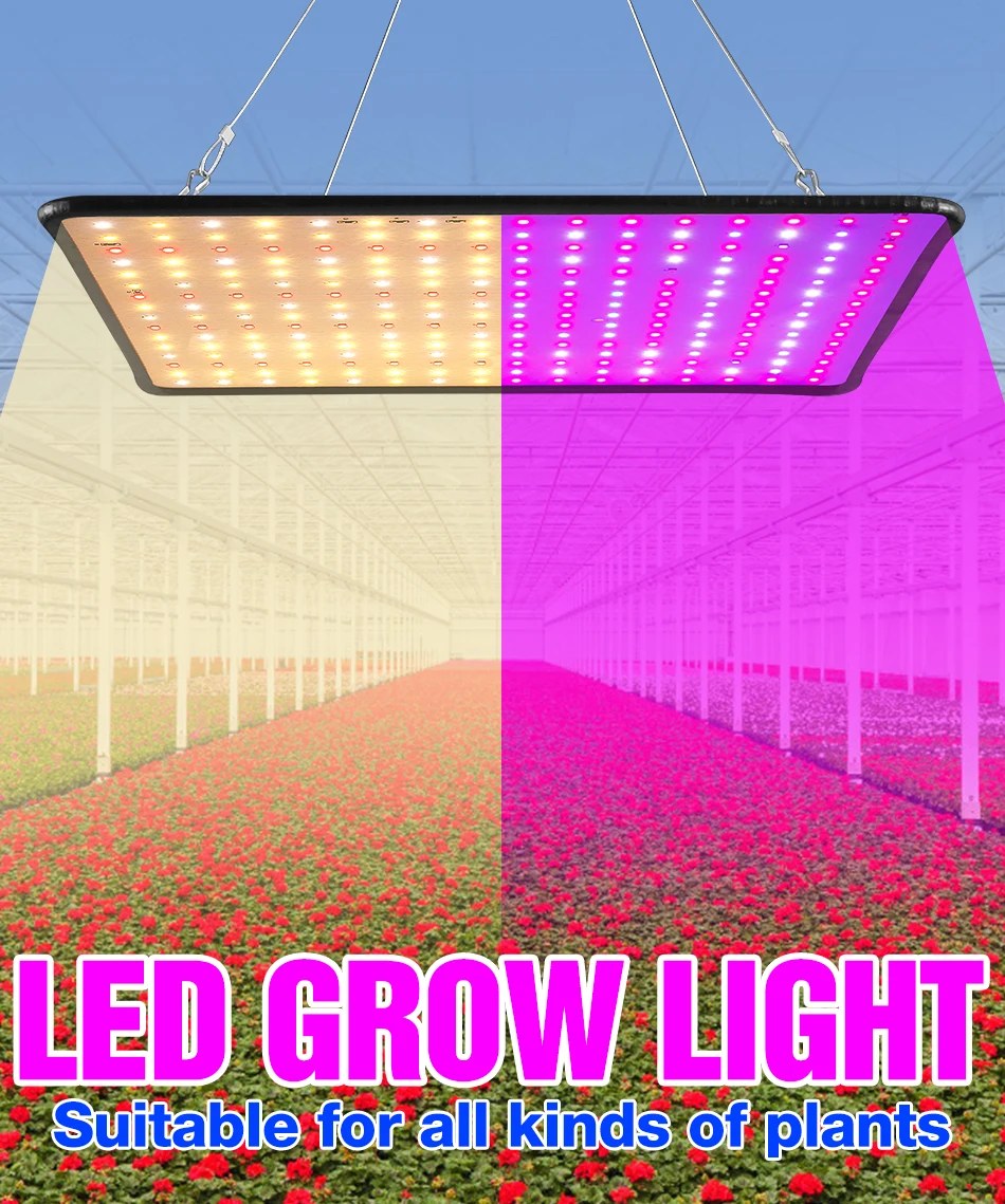 Phytolamp LED de espectro completo para plantas, luz de cultivo, semillas de flores de interior, cultivo hidropónico, lá