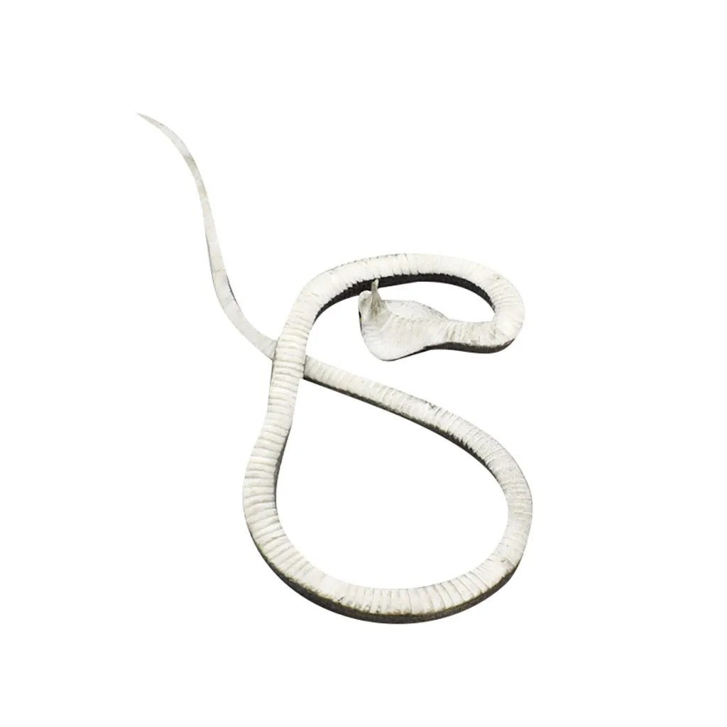 Squishy Animal Toy Educational Learning Toys New Rubber Snake Toys Snakes Party Bag Fillers Halloween Prop Joke Soft Hot