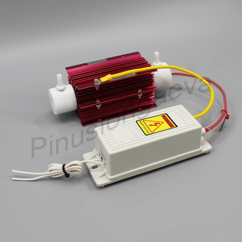 Pinus longaeva 5G/H 5grams ozone generator Kit new technology spa water treatment ozonator home use air WATER purifier