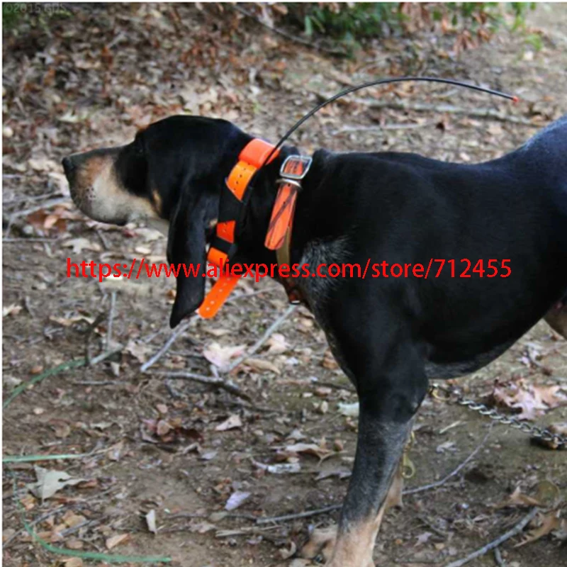 Imagem -04 - Novos Pcs Antena Gps Tracking Dog Collar para Garmin t5 Tt10 Tt15 T5mini Dc30 Dc40 Dc50 Acessórios 55cm 30