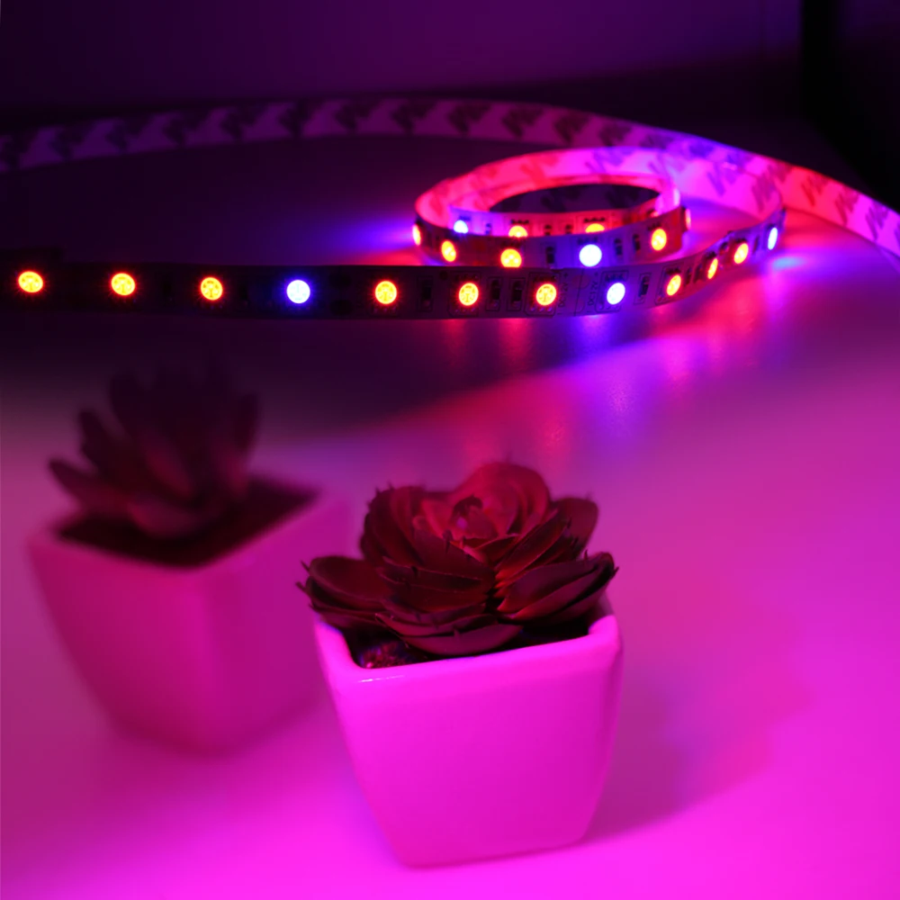 Imagem -05 - Indoor Led Crescer Luzes Dc12v 5630 à Prova Impermeável Água Crescente Led Strip Planta Crescimento Conjunto da Lâmpada 1m 2m 5m com Adaptador e Interruptor