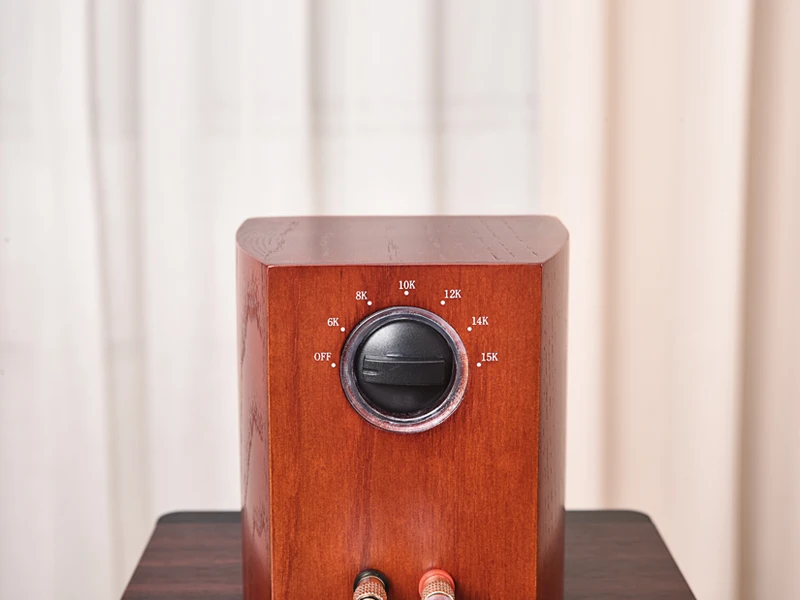 قطعة واحدة (مكبر صوت واحد) TAULSEN T3 تسخين خارجي من الجيل السادس ومكبر صوت UHF خارجي بحزام مغناطيسي مع طاقة