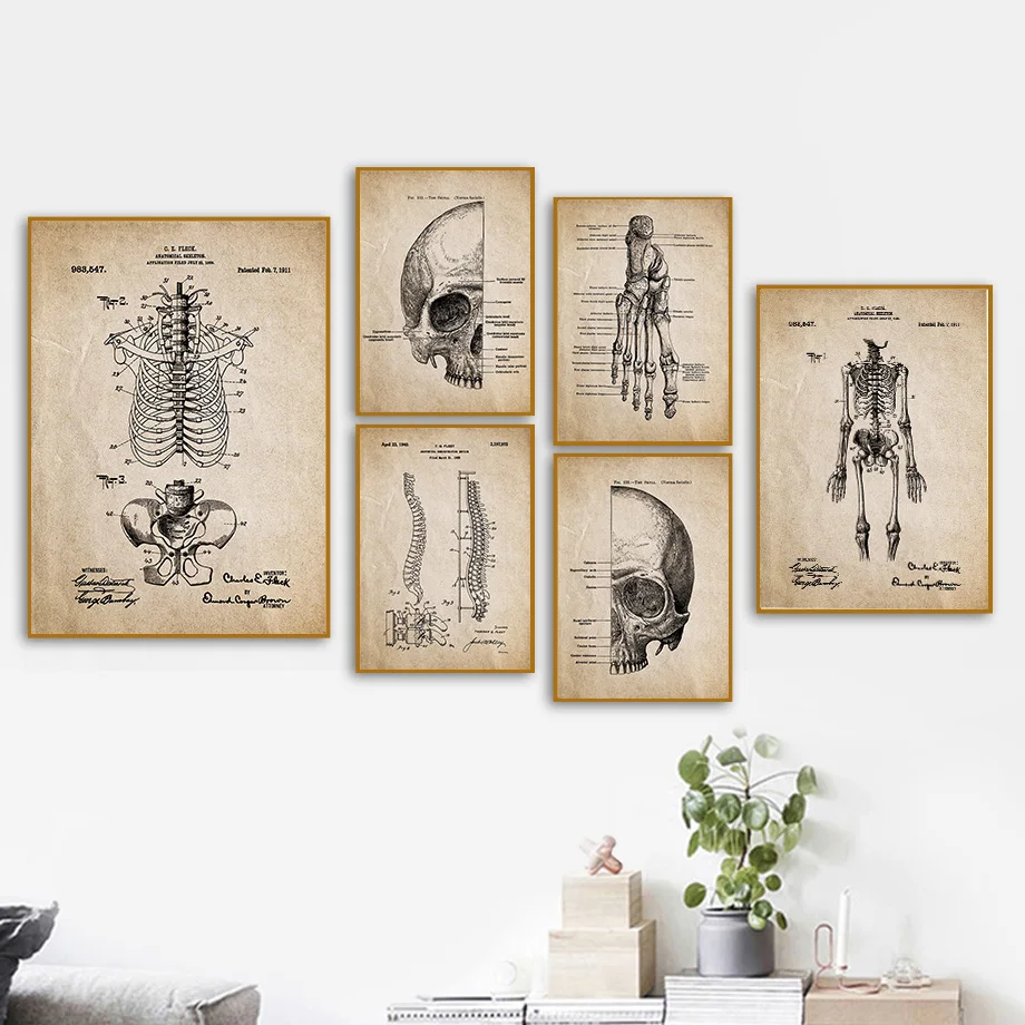 Anatomy Skeleton Foot Hand Spine Skull Vintage Art Canvas Painting Nordic Posters And Prints Wall Pictures Doctors Office Decor