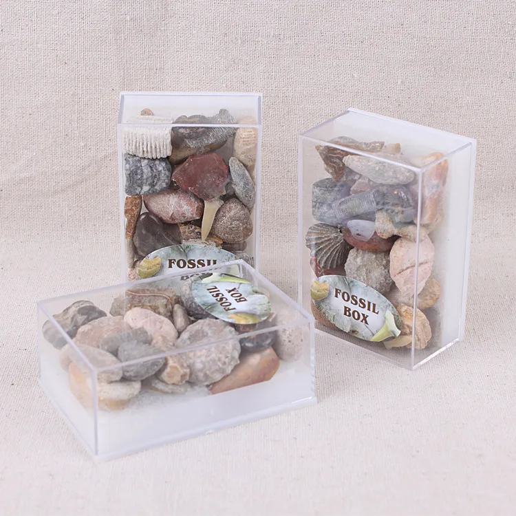 1 Box Mixed Fossil Ore Specimen Mineral Rock Specimen Geology Teaching Rock Specimen Material Best Gift for Children Science Toy