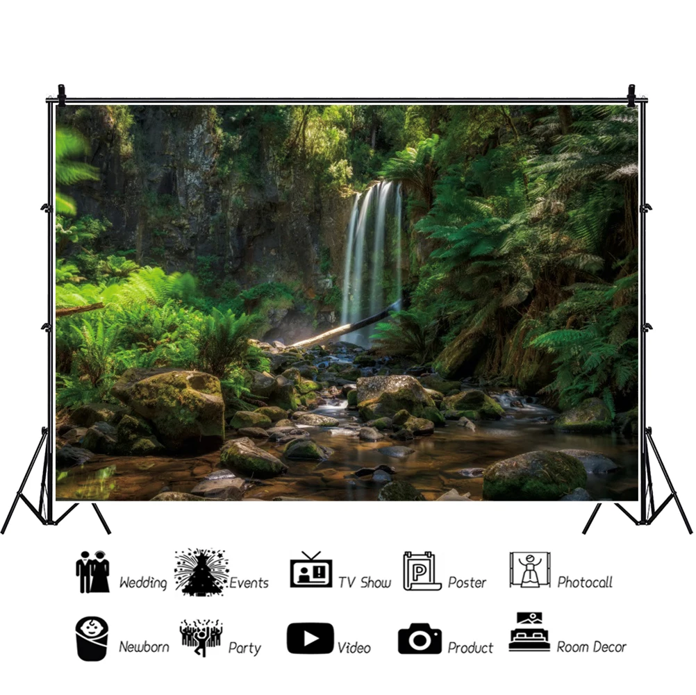 الربيع المشهد الغابات الاستوائية خلفية التصوير الفوتوغرافي صورة ديكور فوتوزون التصوير خلفية الصورة استوديو