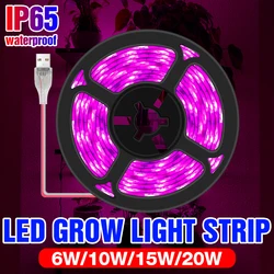 Full Spectrum LED Grow Lamp USB Plant Light Strip 2835 SMD Phyto Lamps LED Seedling Fito Lampada 0.5m 1m 2m 3m Seed Growth Strip