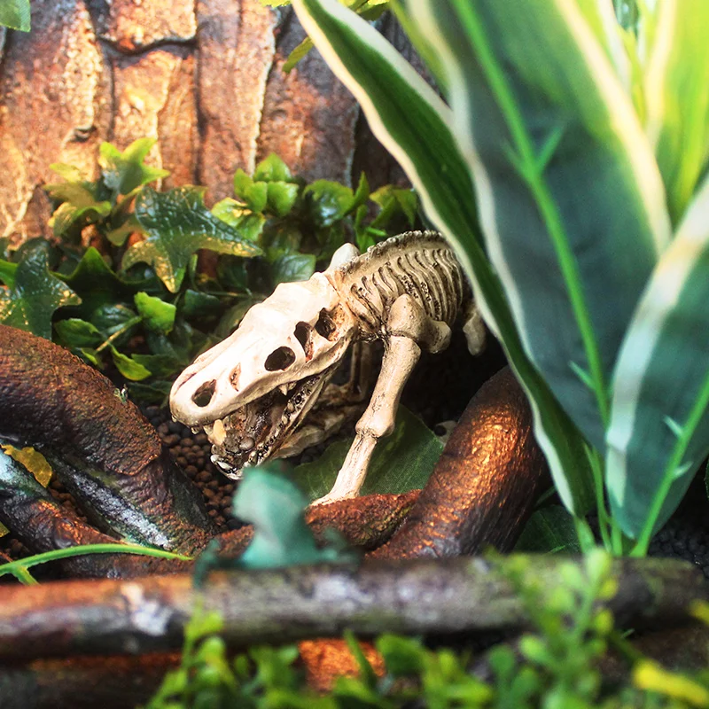 Dinosaur Bones Dodge House Resin Reptile Habitat Water Grass Landscaping Simulation Skull Fish Tank Aquarium Decoration