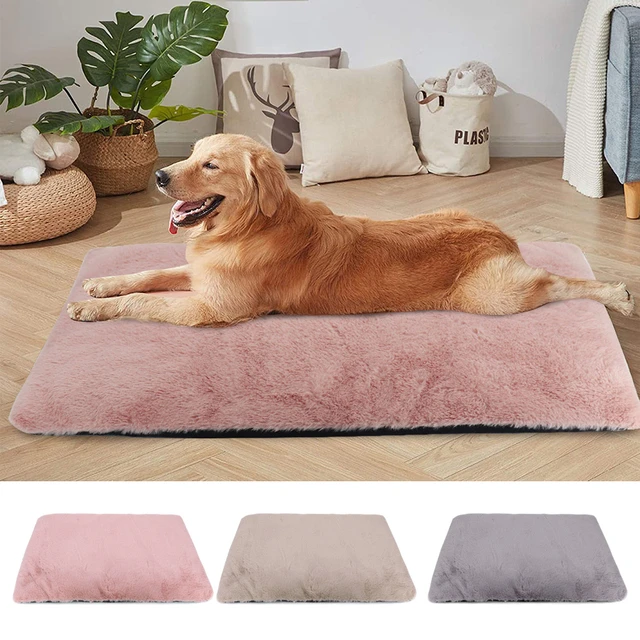 Tear resistant fashion dog beds