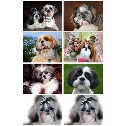 Pittura diamante fai da te con numero Shih Tzu cane cristallo strass diamante ricamo animale domestico mosaico diamante cucciolo punto croce