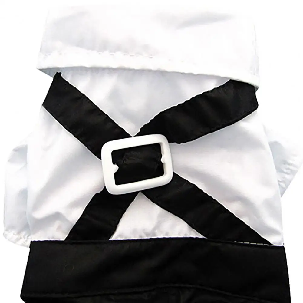 Cão laço terno foto de casamento falso camisa de duas peças terno de  pelúcia filhote de cachorro roupas pano elegante roupas para animais de  estimação roupas para cães t camisa / Pet, image size:1001x1001