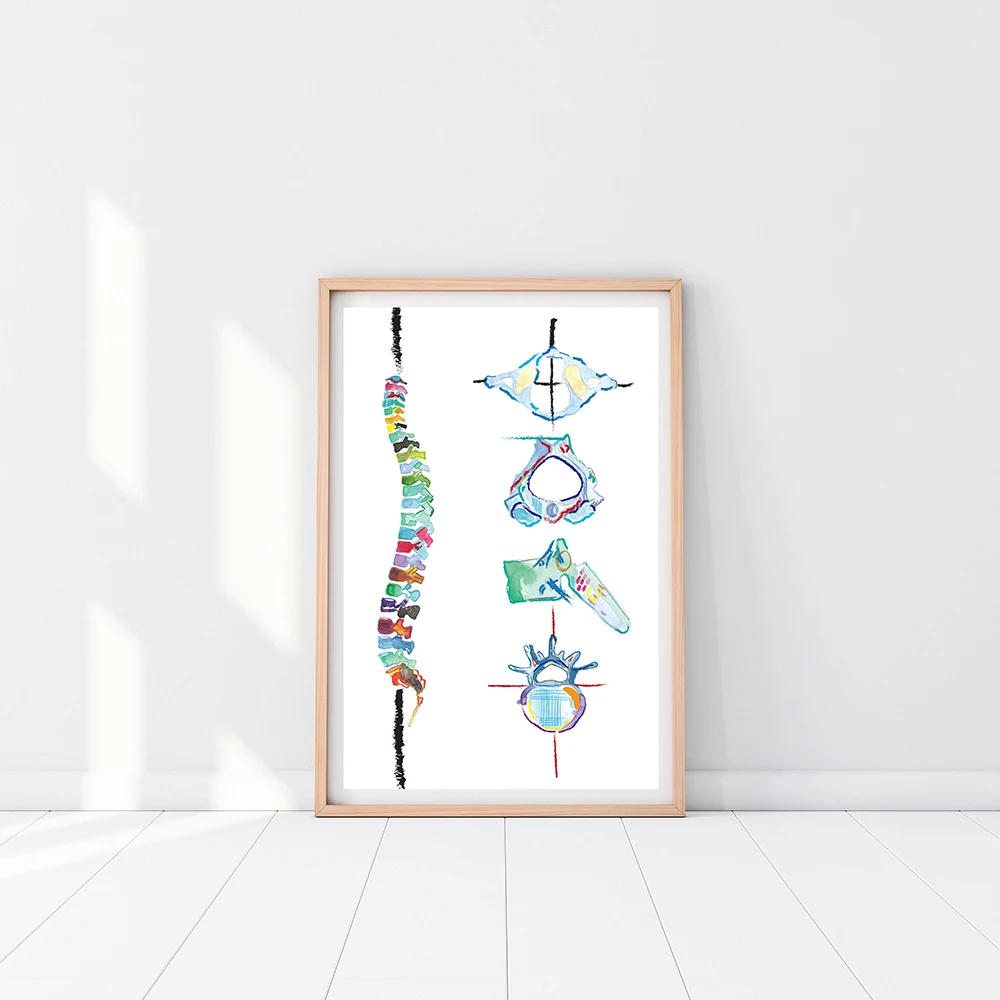 Watercolor Human Spine Anatomy Wall Art Canvas Print - Spinal Cord Biology Painting Vertebral Column Medical Art Poster
