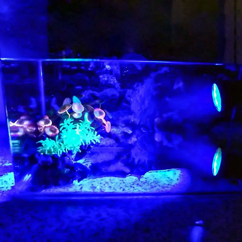 Color Blue Aquarium Waterproof Spot Light underwater spotlight Submersible Garden pond Fish tank Fountain Spring Lighting 36LEDs