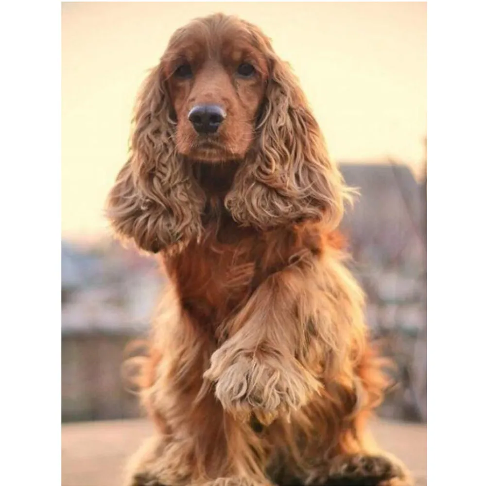 Pintura de diamante 5D DIY, bordado de diamantes completo cuadrado/redondo Cocker Spaniel, mosaico hecho a mano para decoración del hogar, Arte Creativo