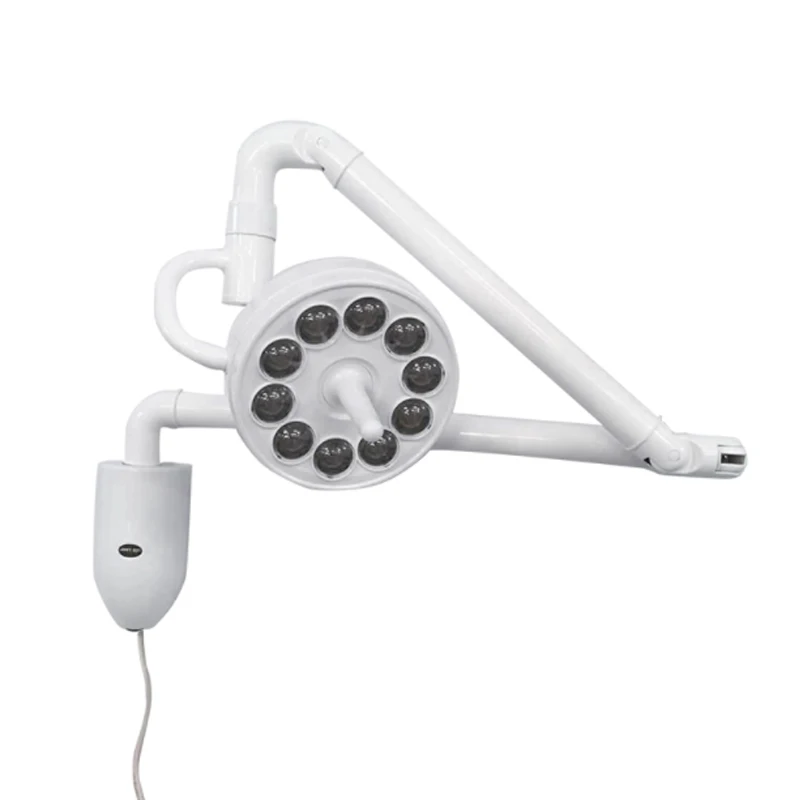 

30W Wall-mounted Medical Examination Lamp Cold Light Surgery Dental Implants Cosmetic Micro-surgery Department Outpatient Lighti