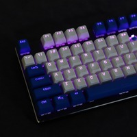 SA Profile 104 Key Double Shot Shine Through Dolch PBT Ball Shape GK61 Keycaps For Mechanical Keyboard 104 87 61 RK61