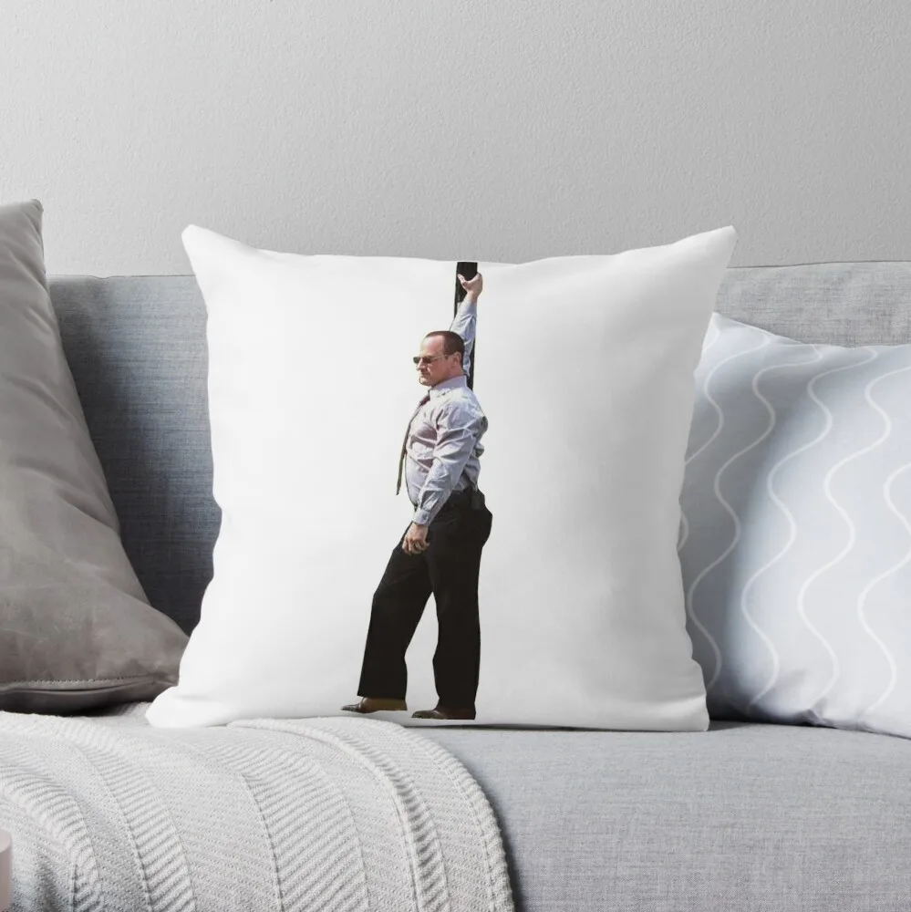 Detective Stabler Throw Pillow Pillowcase Cushion Cover Home Decorative Sofa Pillow Cover Cushion Cover 40x40cm 45x45cm