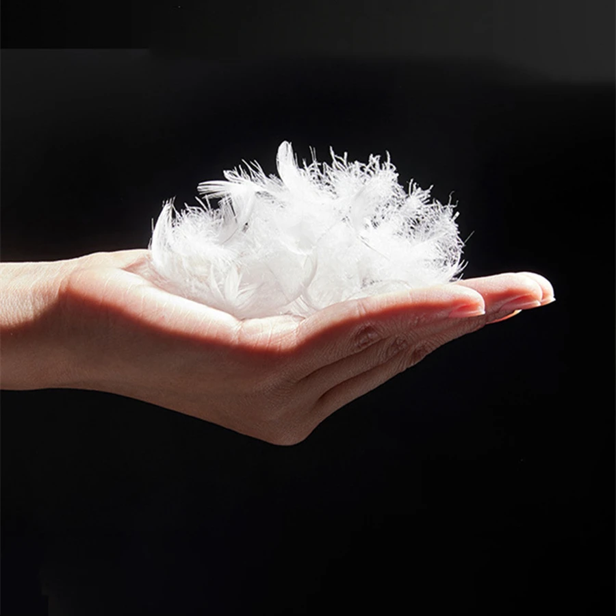 95% White Goose Feather Pillow Core Cushion Core Hotel Sofa Backrest Office Lumbar Pad Large Pillow  Bedside Cushion Core