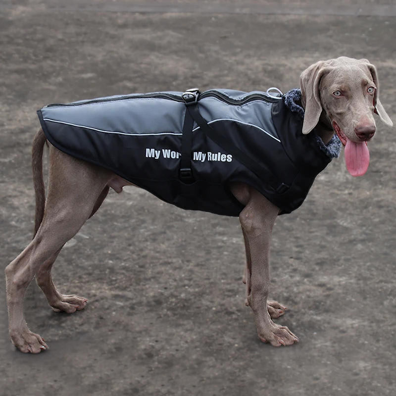 Winter wasserdichter Hundemantel, warme Haustier-Pelzkragenjacke mit abnehmbarem Geschirr, große Hundekleidung, Bulldoggen-Outfit, Labrador-Kostüme – Detail 14