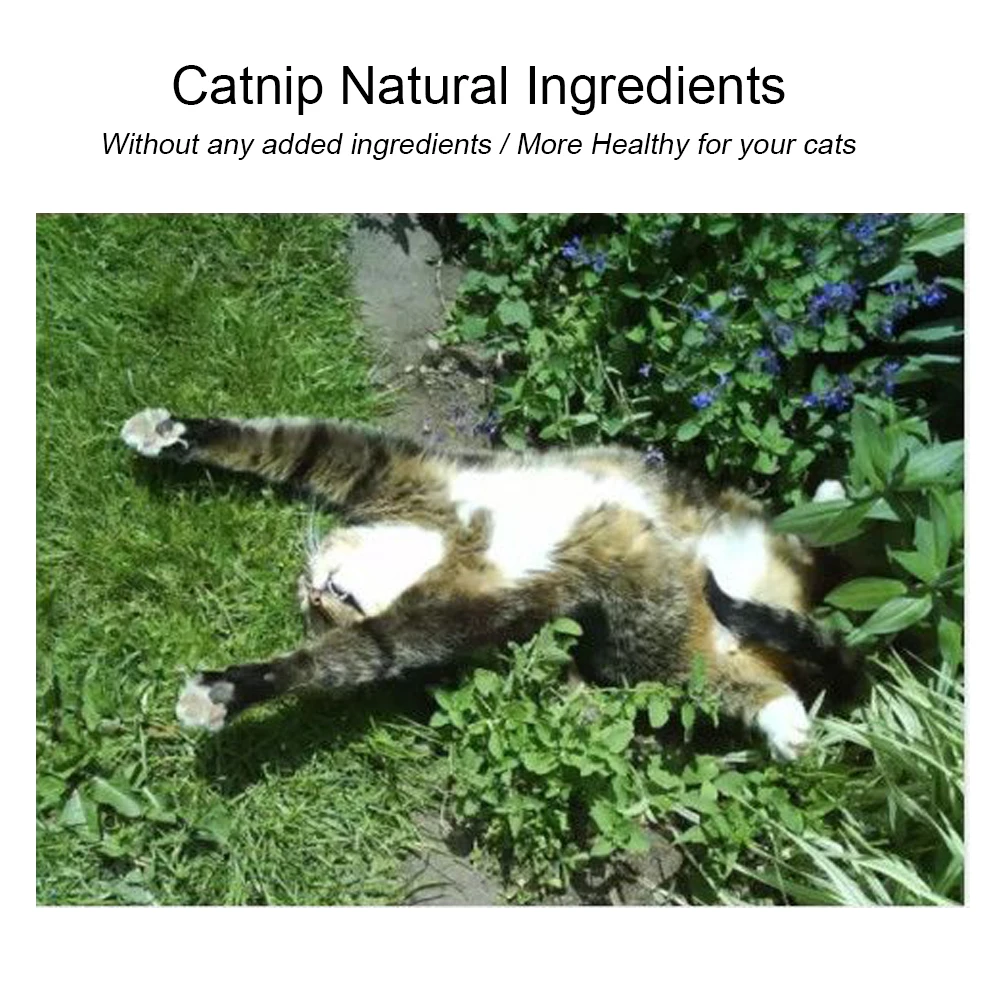 Natural Catnip Cat Toy Crazy Healthy Catmint Toys For Cats Kitten Kedi Cleaning Teeth Play Ball Cat Supplies Pet Products